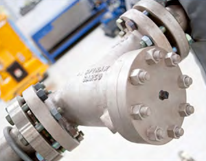 <strong>Flanged</strong> Y Straine Ductile Iron Y-type Flange End <strong>Strainer</strong> for Water Oil and Gas