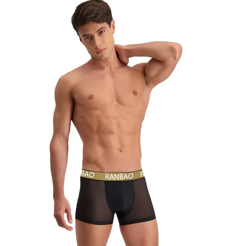 Nuovi prodotti Design a vita media con pizzo Sexy Logo Design da uomo tipico boxer in cotone da uomo