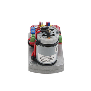 ASME-MRB standart 380kg 0.5s/60 derece temassız manyetik kodlayıcı Servo d-tipi çıkış mili 8-6 yüksek tork Servo Motor