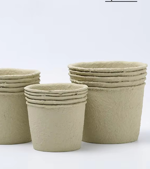 Paper Pulp Off-White (Large, Medium, Small)