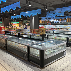 Portable Mini <strong>American</strong> Deep Freezer Glass Door Small Display Chest Freezer <strong>Blast</strong> Freezers for Home Use Sale Price Upright