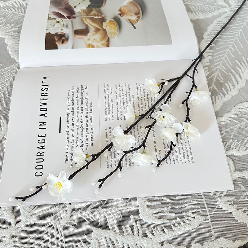 Mini Wintersweet, Blanc