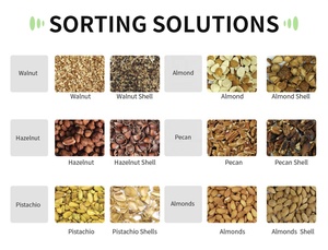 QuadEye KI Deep <span class=keywords><strong>Learning</strong></span> Farbsortierer mit 2 Schächten, 99,99% Genauigkeit, Schnelle und Präzise Lösung für Premium-Qualitätssortierung - Product Image 3