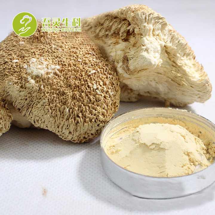 Factory Supply EU/USDA Certified Lions Mane Energy Nootropic Supplement Super Brain Hericium Erinaceus Extract Powder