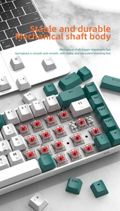 Teclado mecánico ruso Wolf T8 gratis, 68 teclas personalizadas, RGB, Teclado mecánico, tableta, portátil, teclado para juegos de ordenador