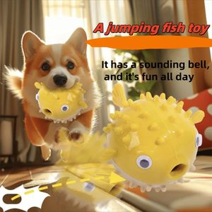 Diş taşlama Bite dayanıklı diş temizleme bulmaca odaklı zıplayan balık şekilli TPR Pet oyuncaklar köpeğin ısırma doğasını açığa çıkarmak için - Product Image 2
