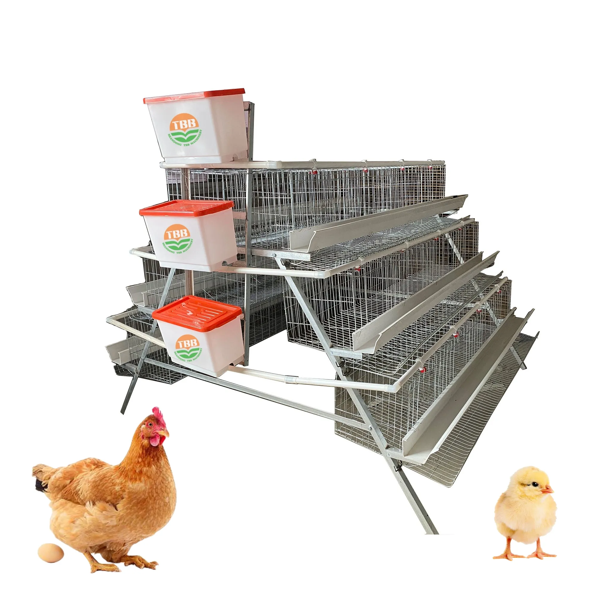 Granja avícola de pollo tipo A gallinas ponedoras de huevos capa jaula de pollo para 5000 10000 pájaros