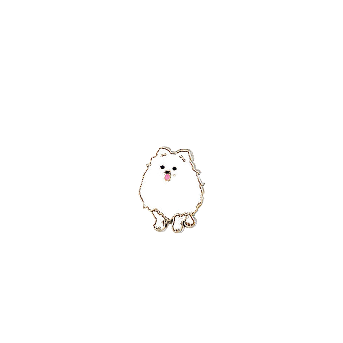 ปอมเมอราเนียนสีขาว
