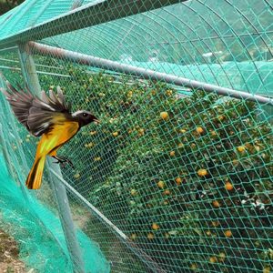 鳥を制御するために、高品質の鳥の網、鳥のわな、果樹の網をカスタマイズする