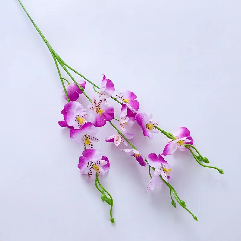 Orchidée dansante courte violet foncé