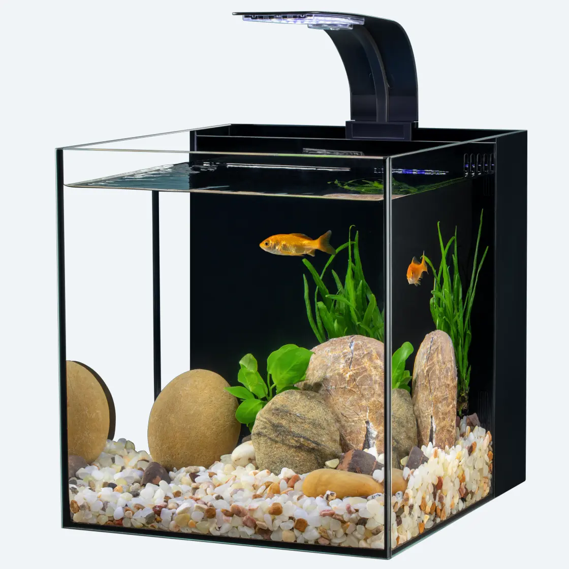Mini Tanque de vidrio, Acuario de peces, acuarios ecológicos con filtro trasero, acuario al por mayor, tanque de peces de vidrio ultra blanco