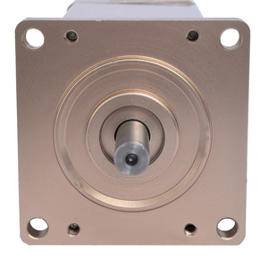 Integrierter DC-Servomotor mit hohem Drehmoment für Roboter - Product Image 6
