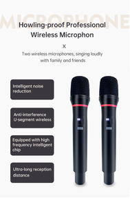 Altavoz profesional portátil para acampar con entrada de guitarra 2 uds micrófonos Popular hogar Android interfaz USB sistema de pedido de canciones - Product Image 3