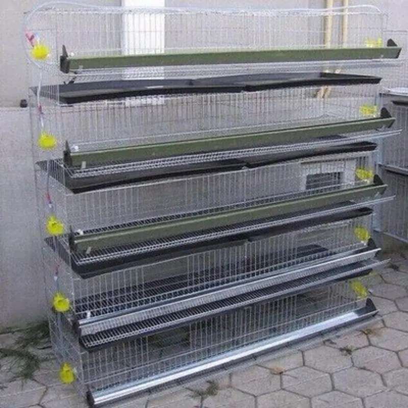 Commercial quail cage farm system breeding /quail cages for egg production /manufacturing layer quail cages for sale