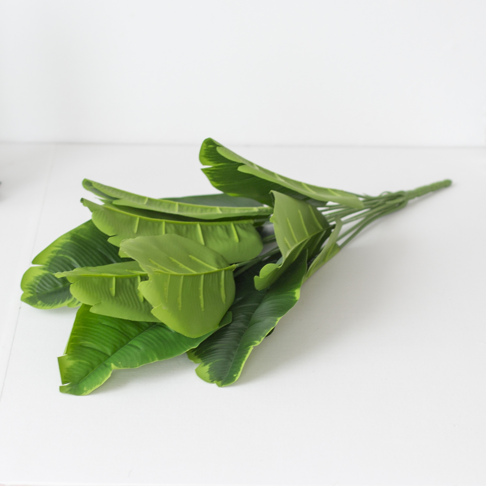 ใบไม้ที่มีขอบสีเขียว