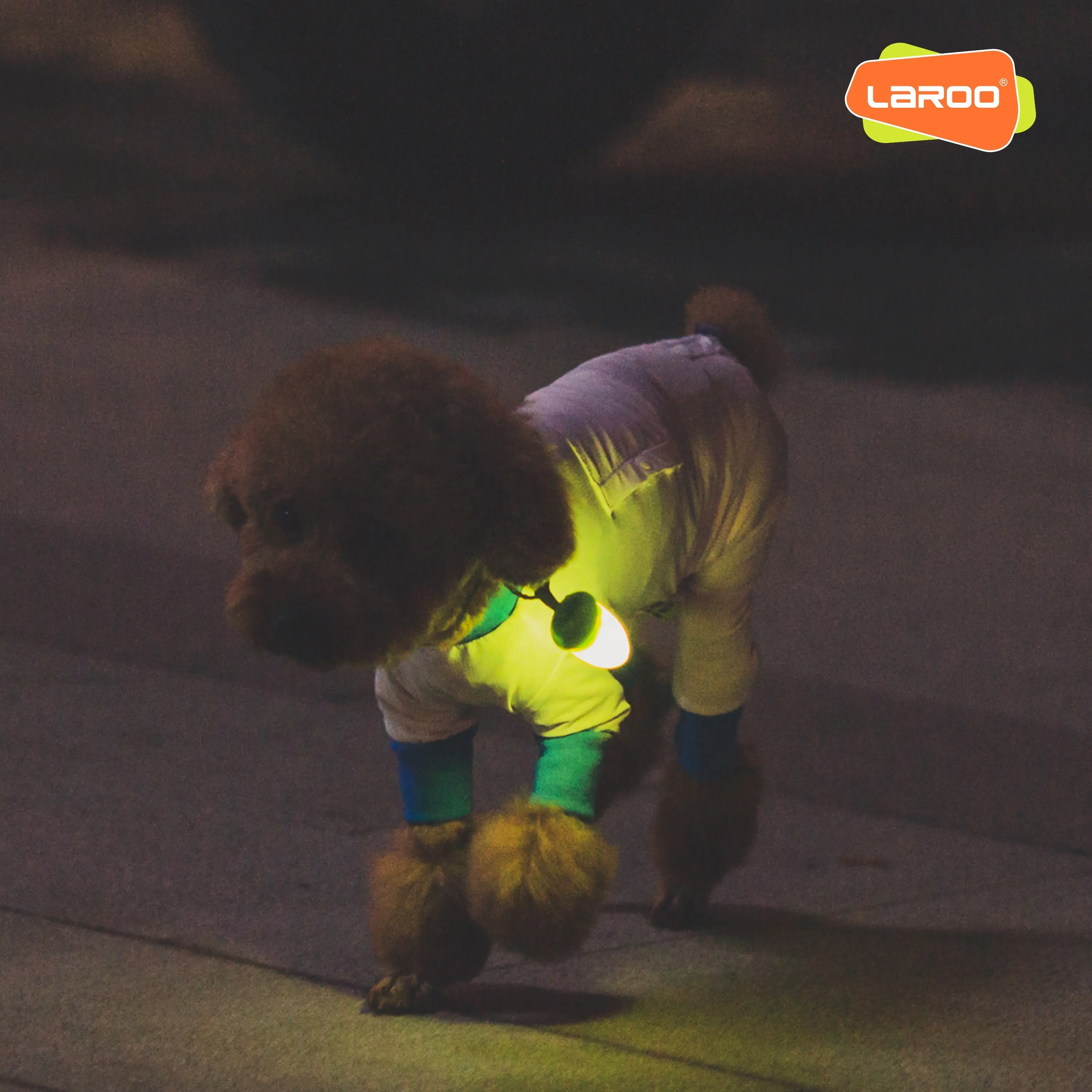 LaRoo produits de Noël pour animaux de compagnie 2023 Safety Glowing Rechargeable Led Blinker adapté au collier et aux laisses de chien de luxe