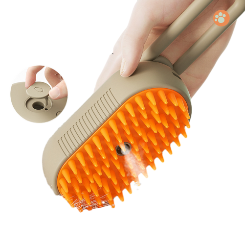 สีดำสีกากี