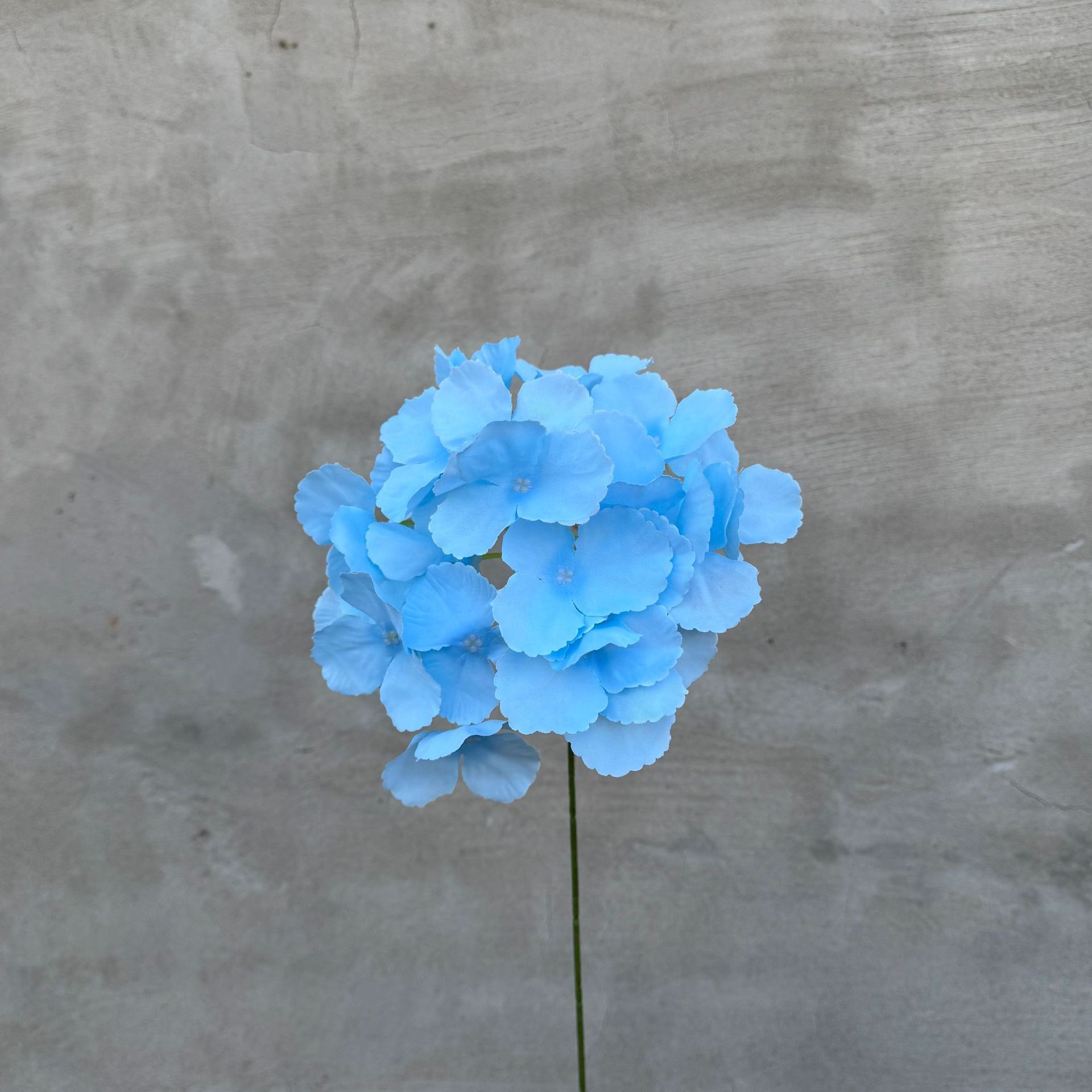 Hortensia individual-azul claro