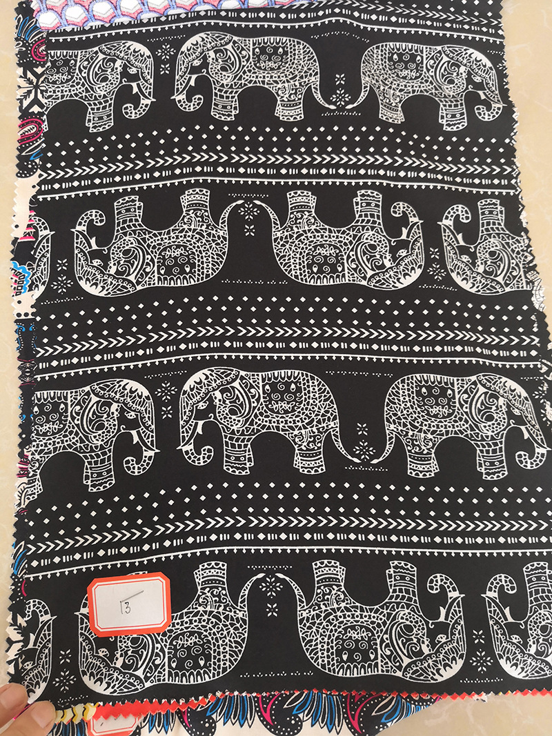 elephant 5