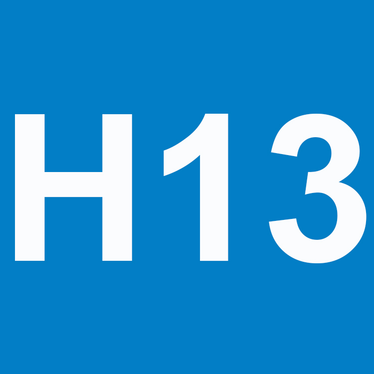 H13