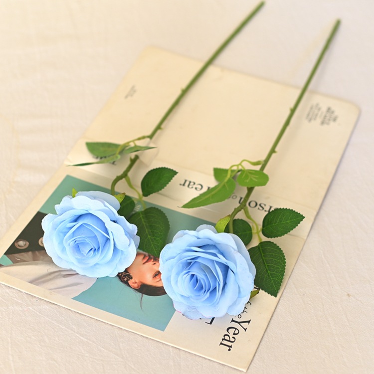FF-5 blue