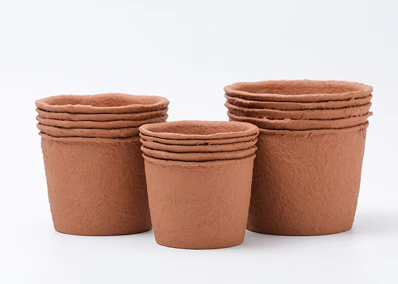 Paper Pulp Jujube Brown (Large, Medium, Small)