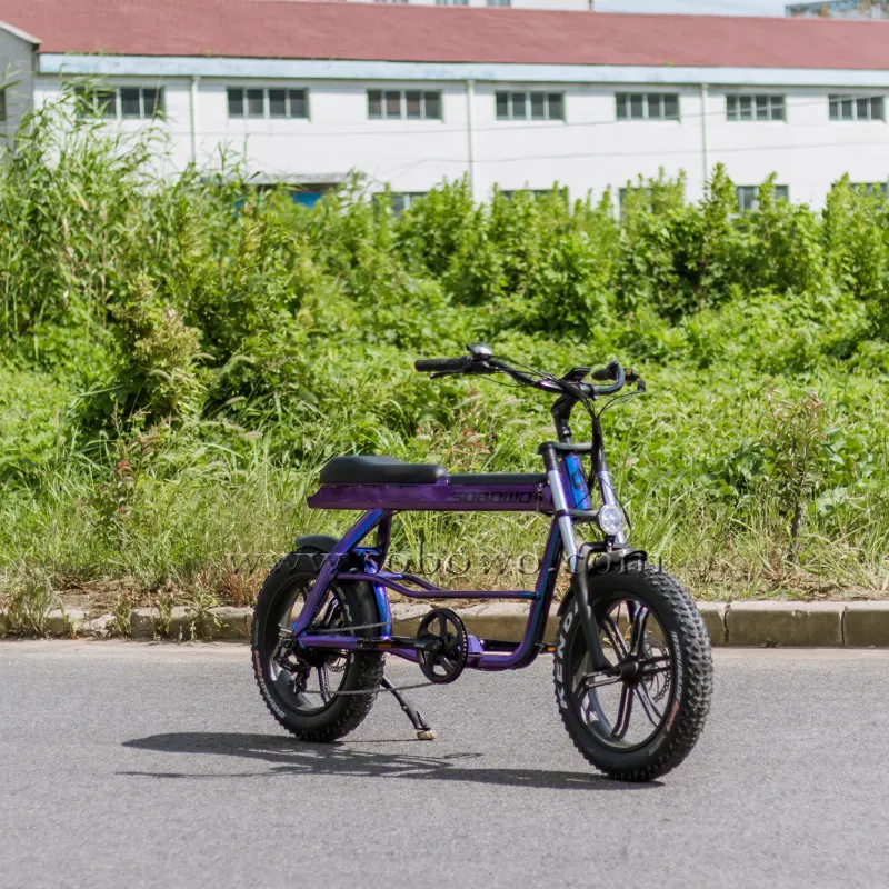 Sobowo-Bicicleta Eléctrica S68 Fat, venta al por mayor, entrega rápida, con dos asientos