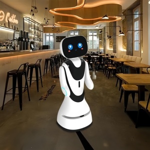 Robot di servizio di controllo remoto per innovazione educativa per Robot di ricezione interazione uomo-Robot - Product Image 2