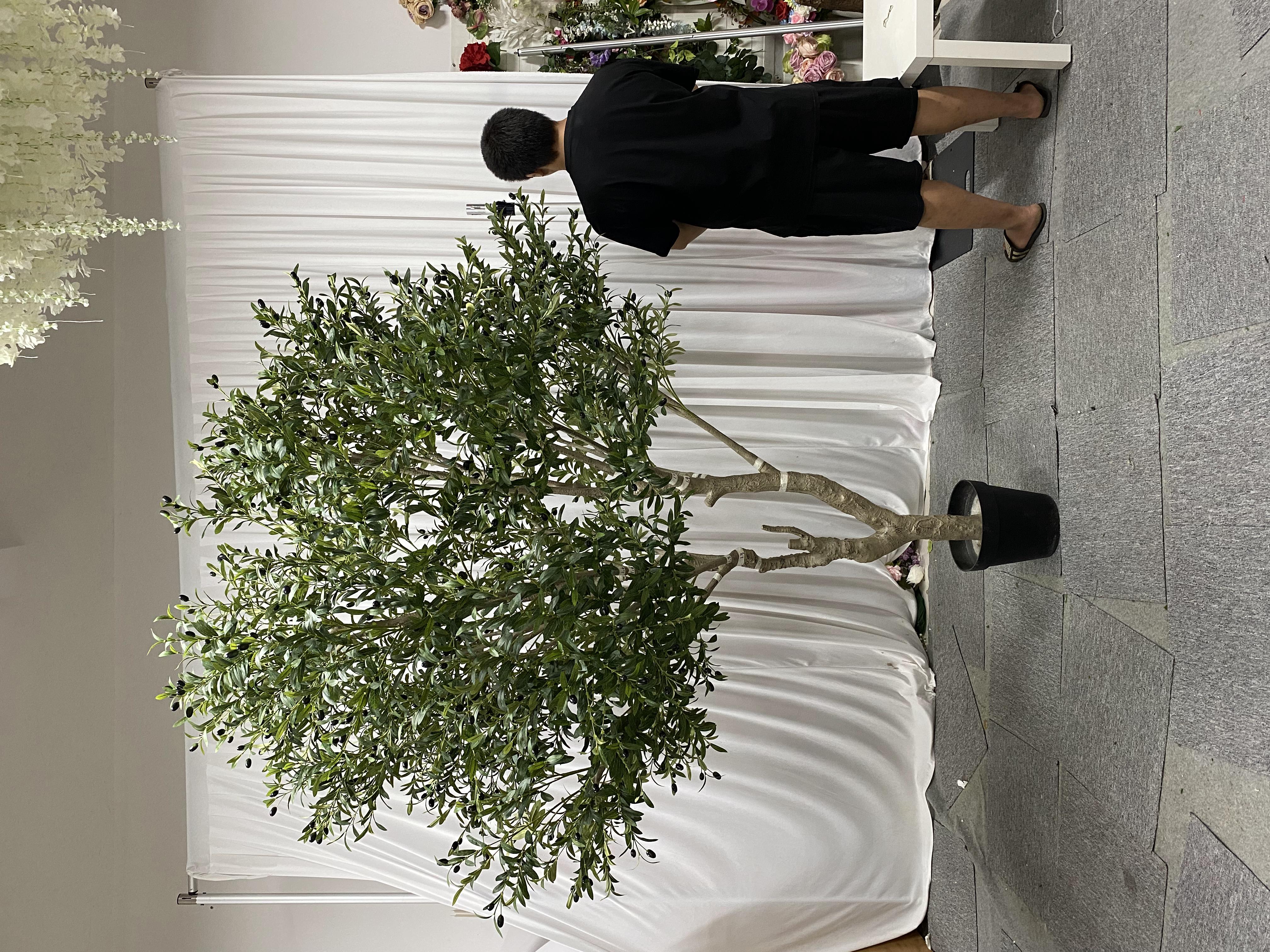 2.5M/8.20Ft; Sans pot