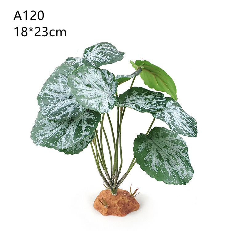 A120
