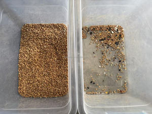 Wheat Optic <strong>Color</strong> Sorter <strong>Machine</strong> <strong>Grain</strong> Coffee Bean Colour Sorter Ccd <strong>Color</strong> <strong>Sorting</strong> <strong>Machine</strong> - Product Image 3