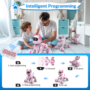 Робот с программируемым дистанционным управлением - Product Image 3