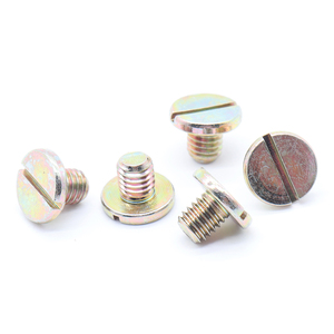 Yüksek hassasiyetli M0.6 M0.7 M0.8 M1.0 küçük boy Mini mikro vidalar için izle - Product Image 2
