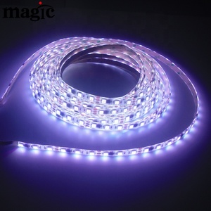 5V 12V 24V WS2811 IC akıllı SMD5050 RGB su geçirmez IP65 tutkal kaplama 10 metre rüya renk WS2811 LED şerit işık - Product Image 5