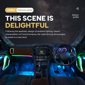 ระบบไฟส่องสว่างภายในห้องโดยสารของ Mahindra Scorpio N 12V LED ปรับแต่งรถด้วยแสงโดยรอบ - Product Image 4