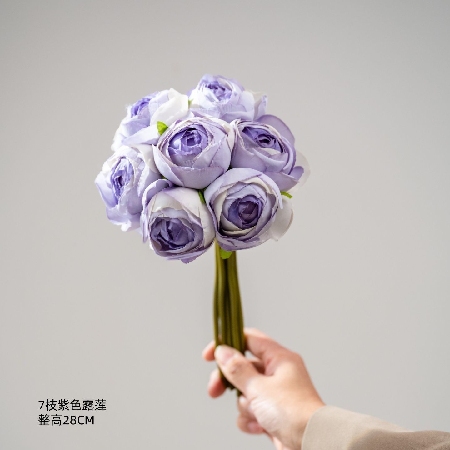 Lotus de rosée violette
