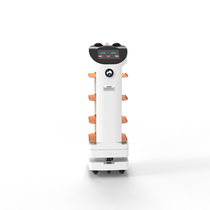 D2 ITR Customizable Reception <strong>Robot</strong> Multi-Function Welcome <strong>Robot</strong> for <strong>Branding</strong> and Advertising for Event Hosting Commercial Use - Product Image 2