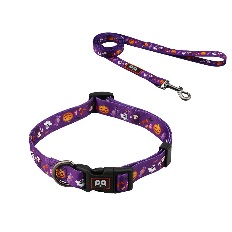 Citrouille (collier et laisse)