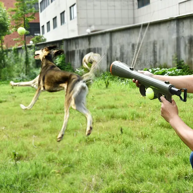 Lanceur de balle de chien avec balle de tennis en plein air