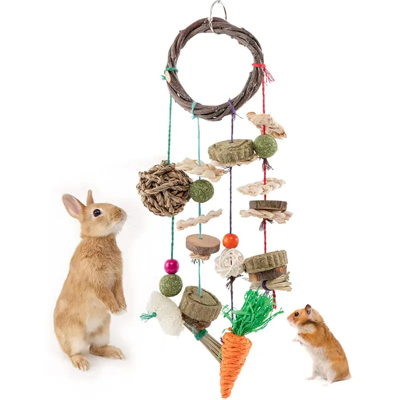Hamster diş taşlama bakımı güvenli tavşanlar kafes asılı Rattan yüzük topları doğal elma ahşap tavşan çiğnemek oyuncak