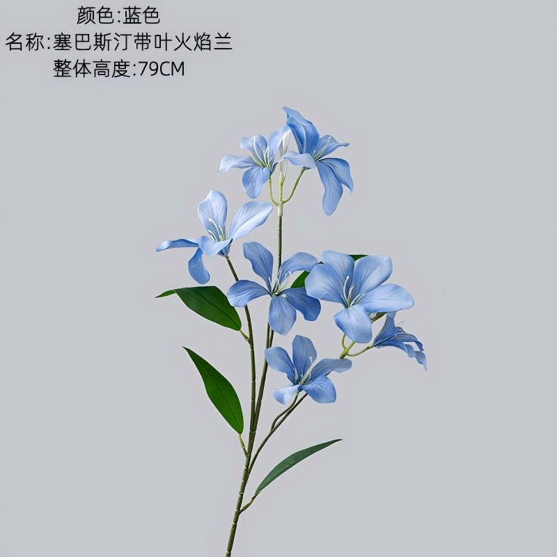 Bleu