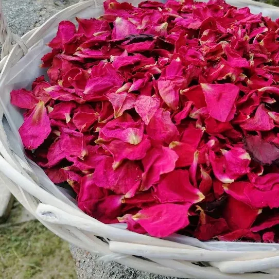 Coriandoli da sposa petali di rosa essiccati 100% piante naturali essiccate biodegradabili coriandoli petali di rose rosse