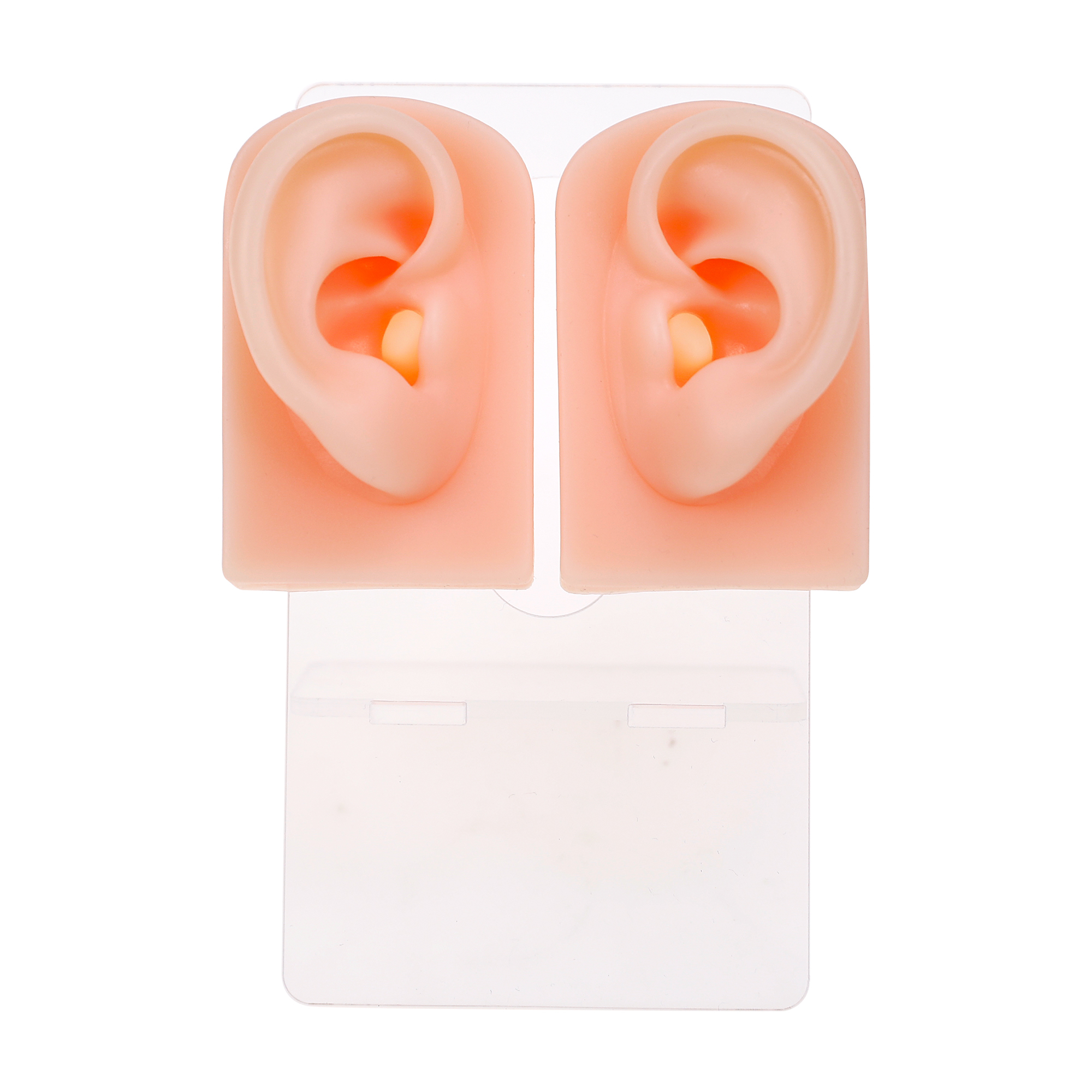 Oreille droite - SIH003-1