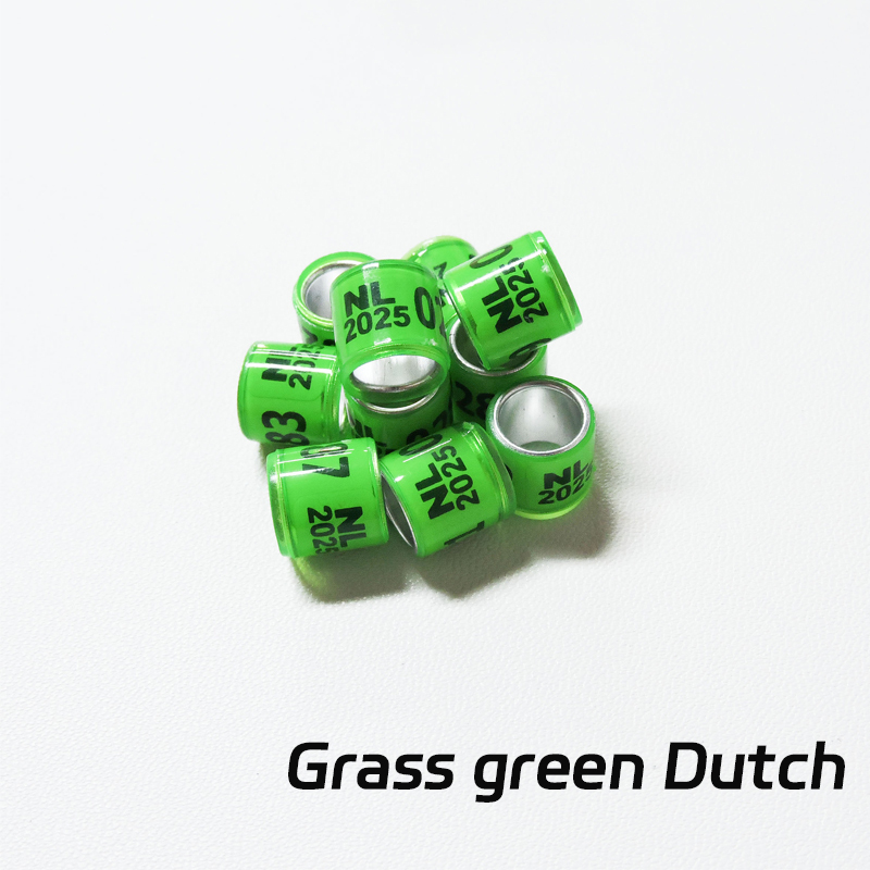 Vert gazon Pays-Bas
