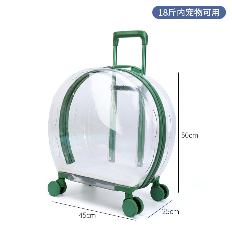 Ordinary bubble box - completely transparent green