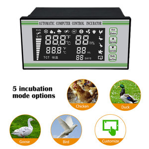 Incubadora de microordenador Digital para eclosión automática, termostato, controlador de temperatura de humedad para incubadora - Product Image 3
