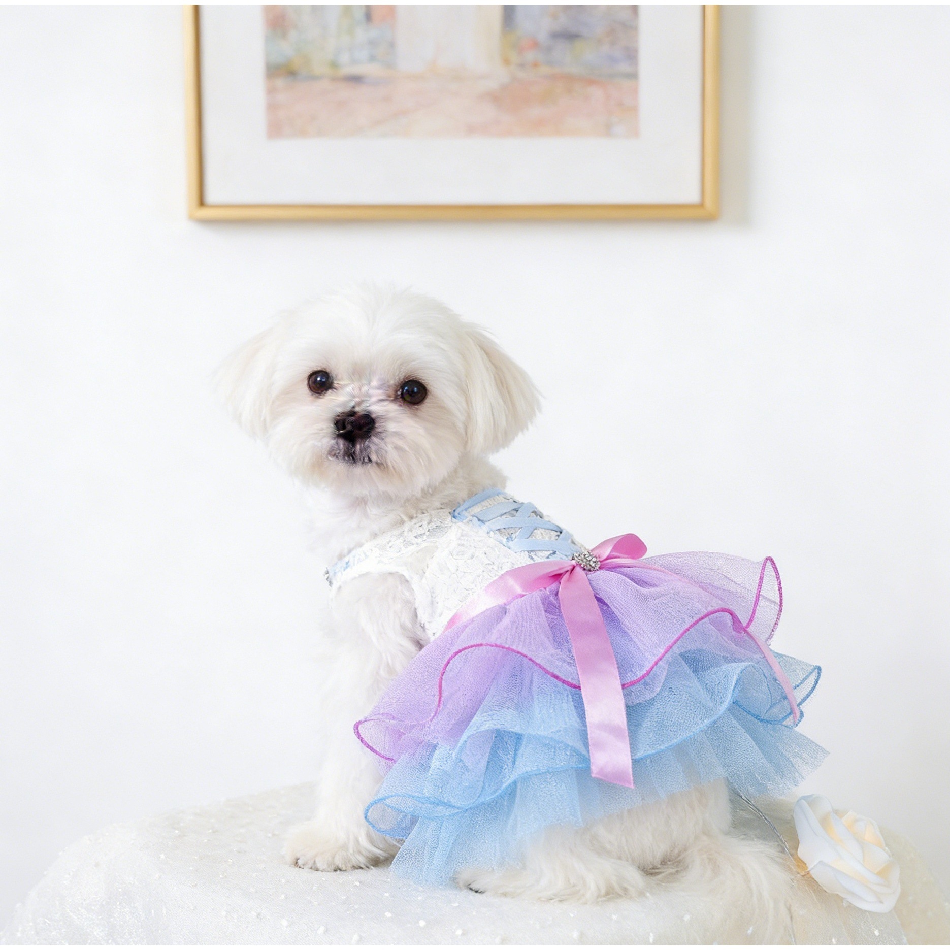 Robe en tulle rêveuse et étoilée