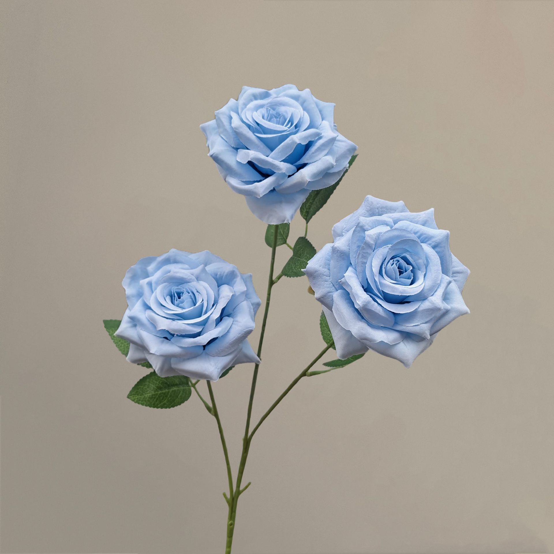 PU ciel