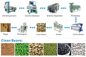 Ethiopia Coffee Bean Cleaning <strong>Machine</strong> with CCD <strong>Sensor</strong> <strong>Color</strong> <strong>Sorting</strong> and Pulses Bean Sorter Featuring Core Pump Component - Product Image 6