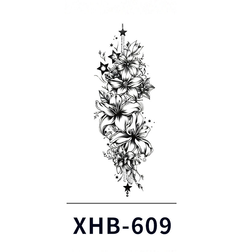 XHB-609